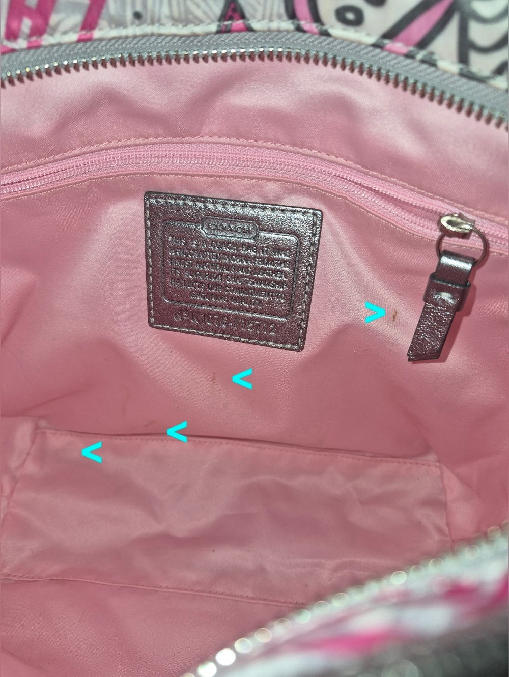 NWT 🎀Coach Poppy 🦋Butterfly🦋 Graffiti Tote And Matching Mini Skinny - Picture 9 of 14